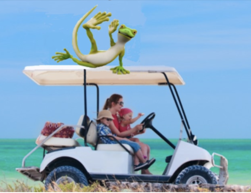 Banderasbaycarts